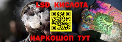 индика Ставрополь