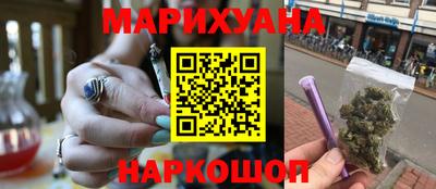 индика Ставрополь
