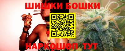 индика Ставрополь
