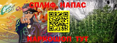 индика Ставрополь