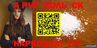 индика Ставрополь