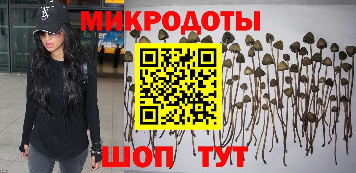 Галлюциногенные грибы Psilocybine cubensis  Вход с VPN  Октябрьский  Псилоцибиновые грибы ЛСД 